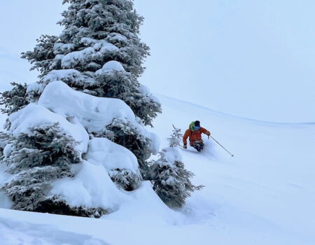 Freeriden, 2-tägiges Freeridecoaching, Mayerl Alpin