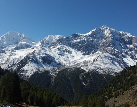 Ortler